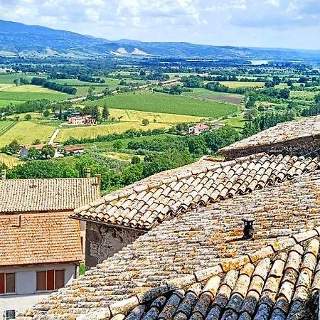 Domus Claudia Villa Castiglione In Teverina Kültér fotó
