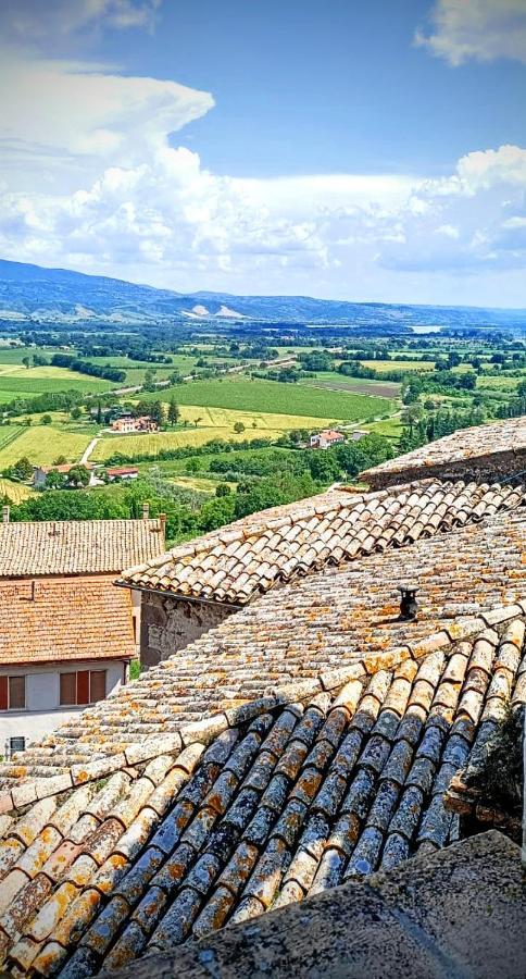 Domus Claudia Villa Castiglione In Teverina Kültér fotó