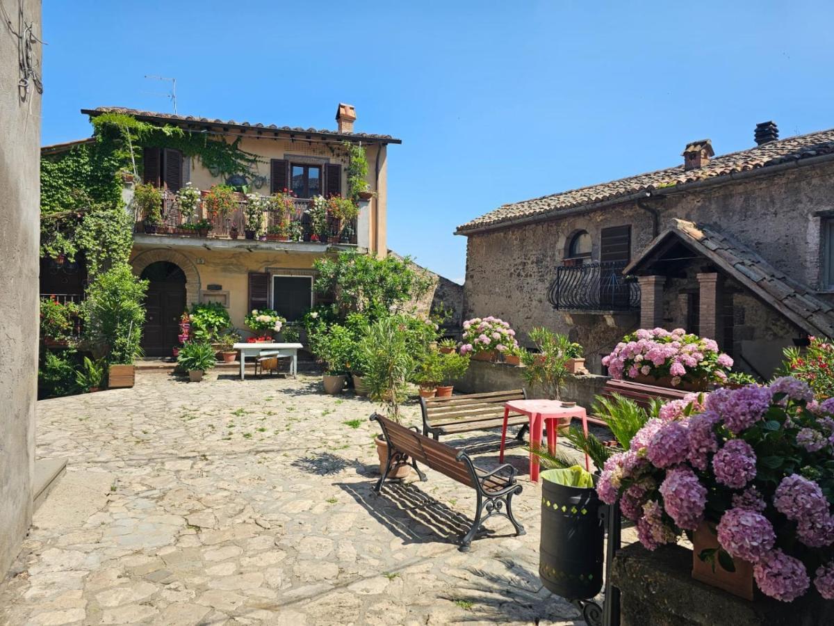 Domus Claudia Villa Castiglione In Teverina Kültér fotó